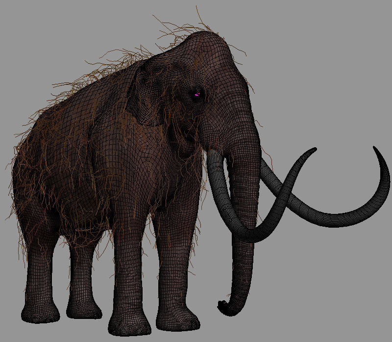 Hollywood Mammoth - 3d model 3D model_13