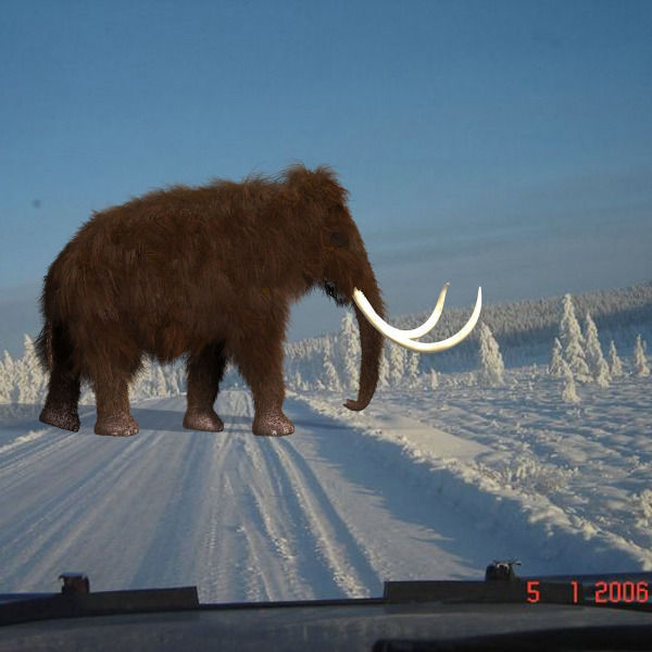 Hollywood Mammoth - 3d model 3D model_15