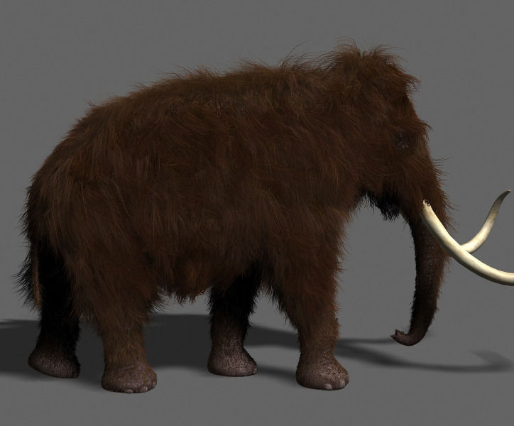 Hollywood Mammoth - 3d model 3D model_8