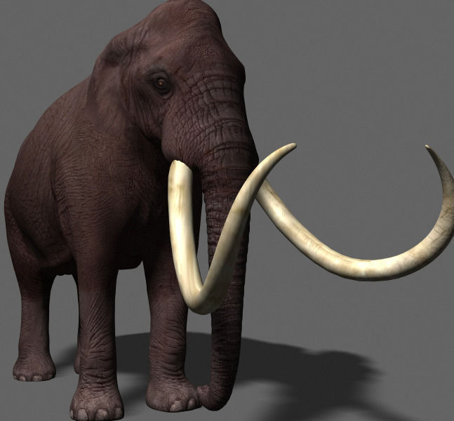 Hollywood Mammoth - 3d model 3D model_5