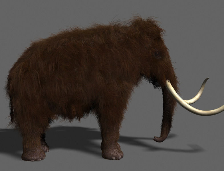 Hollywood Mammoth - 3d model 3D model_7