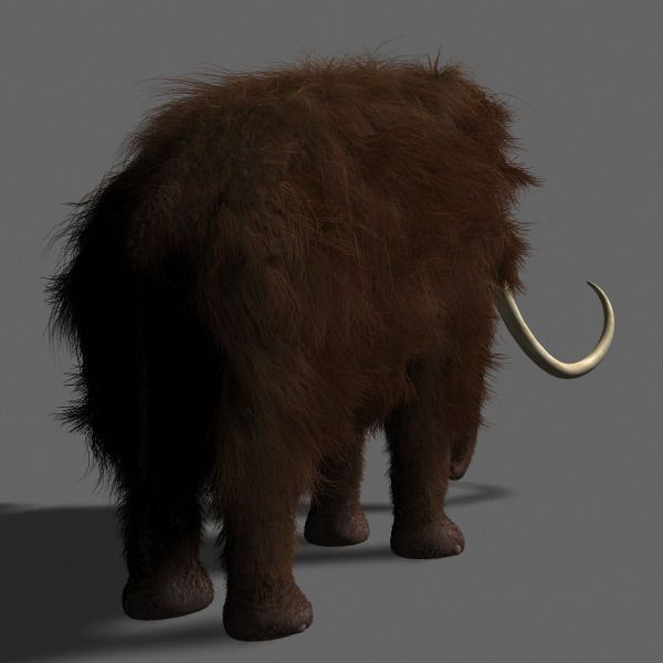 Hollywood Mammoth - 3d model 3D model_4