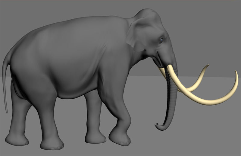 Hollywood Mammoth - 3d model 3D model_12