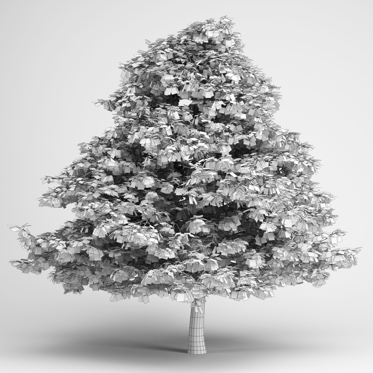 CGAxis Grey Alder 03 3D model_1