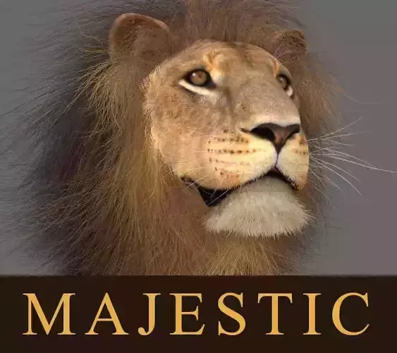 MAjestic Lion - 3d model 3D model