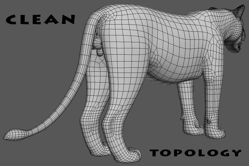 MAjestic Lion - 3d model 3D model_13