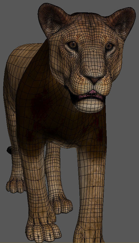 MAjestic Lion - 3d model 3D model_21