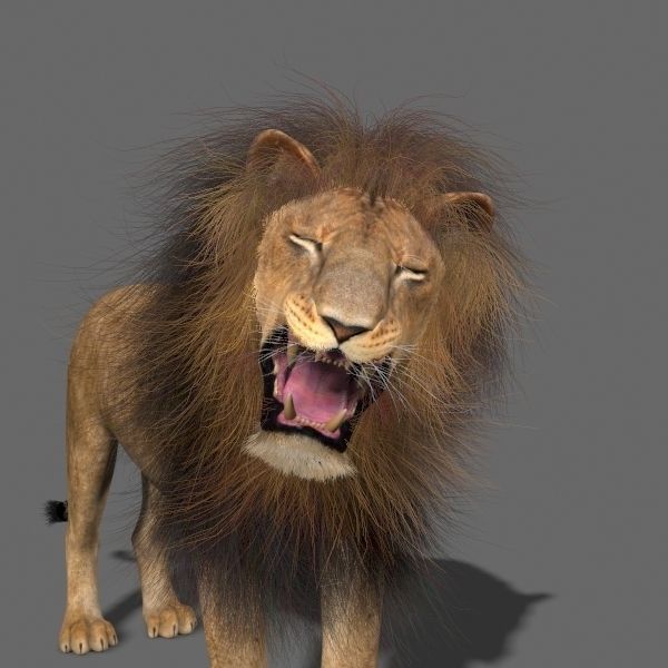 MAjestic Lion - 3d model 3D model_6