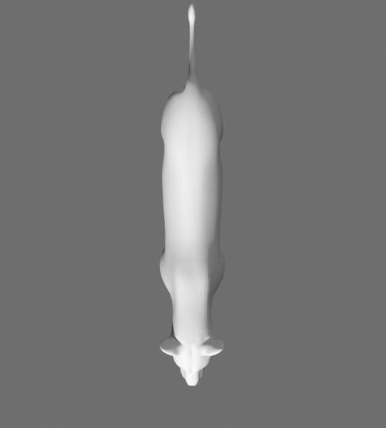 MAjestic Lion - 3d model 3D model_17