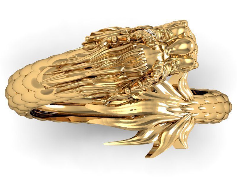 Dragon ring round 3D print model_2