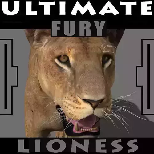 The Ultimate Lioness - fur 3d model 3D model
