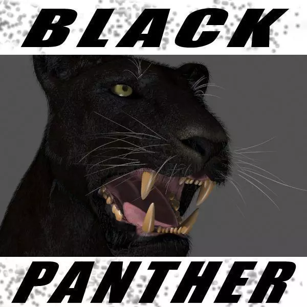 BLACK PANTHER - 3d model 3D model_0
