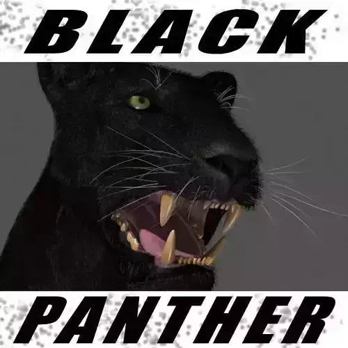 BLACK PANTHER - 3d model 3D model