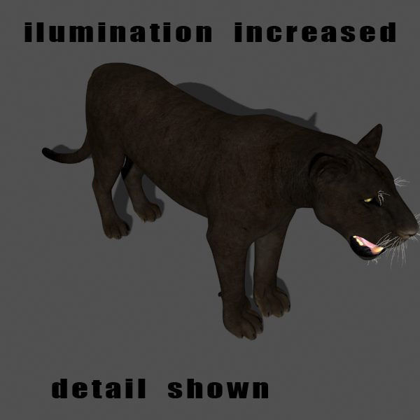 BLACK PANTHER - 3d model 3D model_11