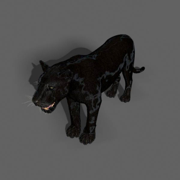 BLACK PANTHER - 3d model 3D model_18