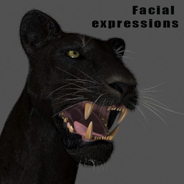 BLACK PANTHER - 3d model 3D model_8