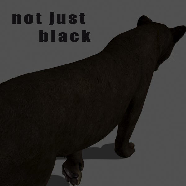 BLACK PANTHER - 3d model 3D model_13