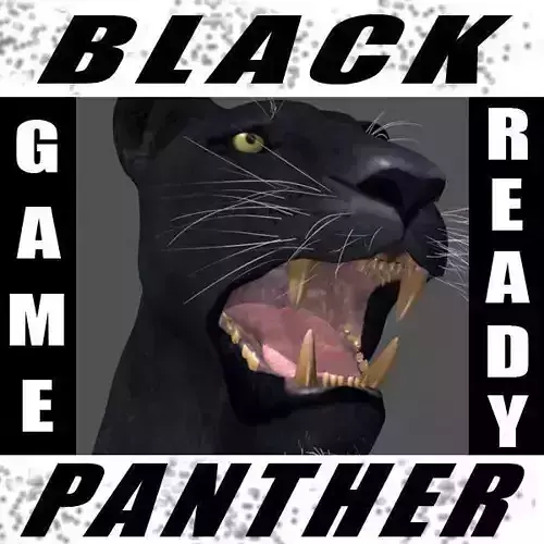 Panther no Fur - 3d model 3D model