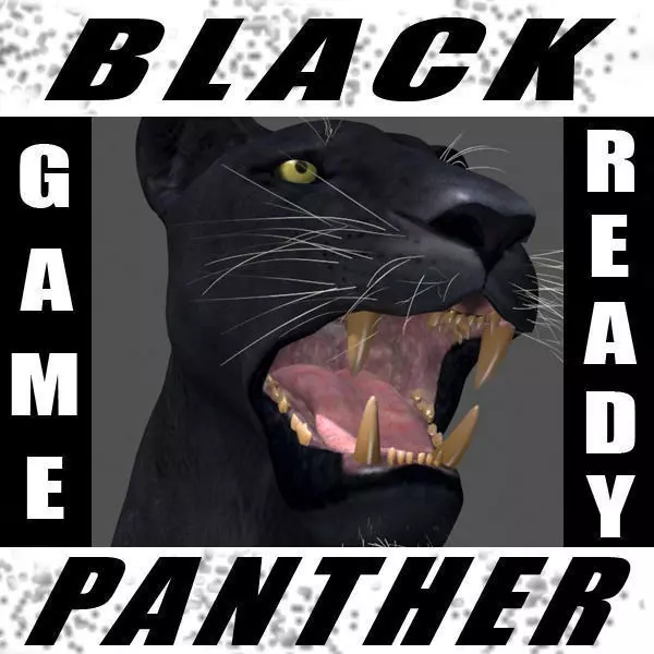 Panther no Fur - 3d model 3D model_0