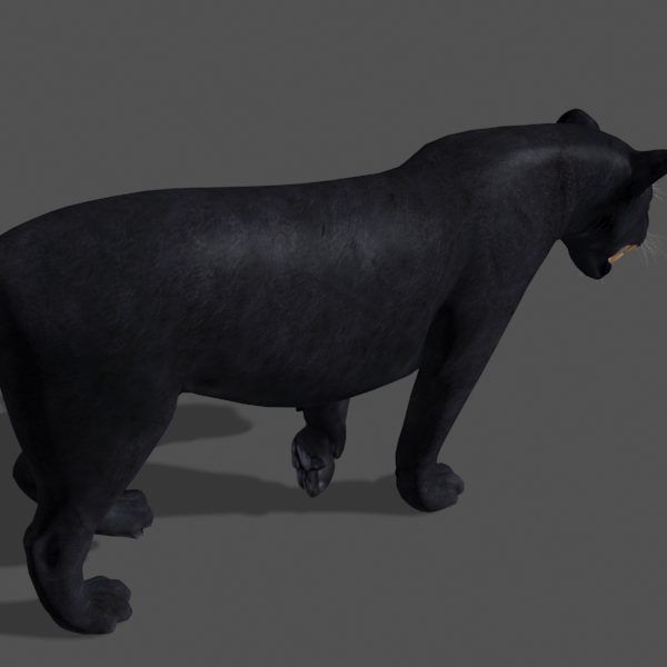 Panther no Fur - 3d model 3D model_5