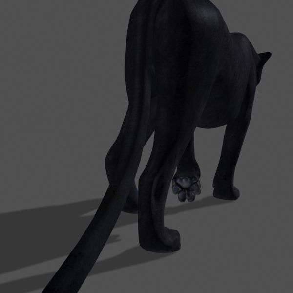 Panther no Fur - 3d model 3D model_10