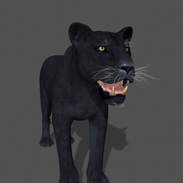 Panther no Fur - 3d model 3D model_6