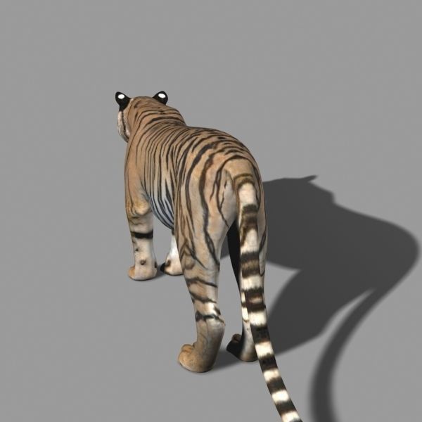 The Ultimate CGI Tiger - 3d model 3D model_24