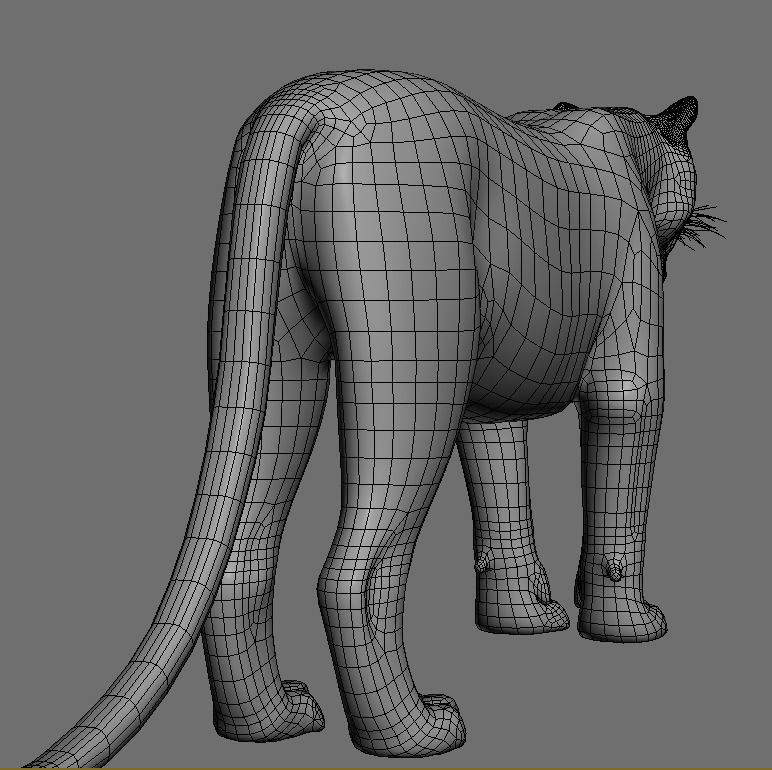 The Ultimate CGI Tiger - 3d model 3D model_36