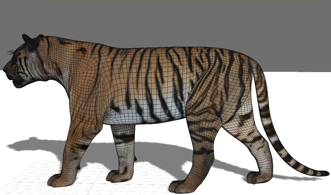 The Ultimate CGI Tiger - 3d model 3D model_32