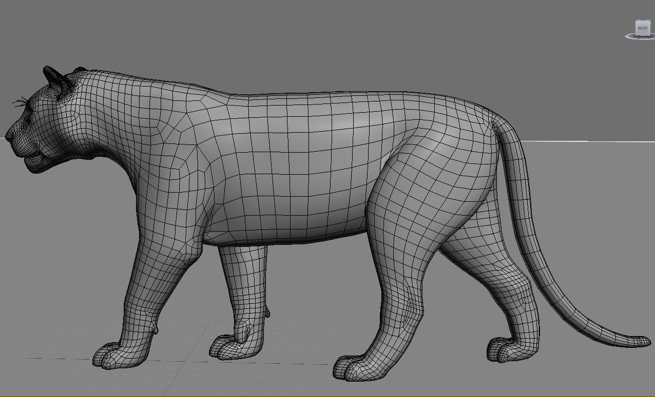 The Ultimate CGI Tiger - 3d model 3D model_34