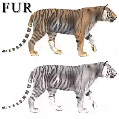 The Ultimate CGI Tiger - 3d model 3D model