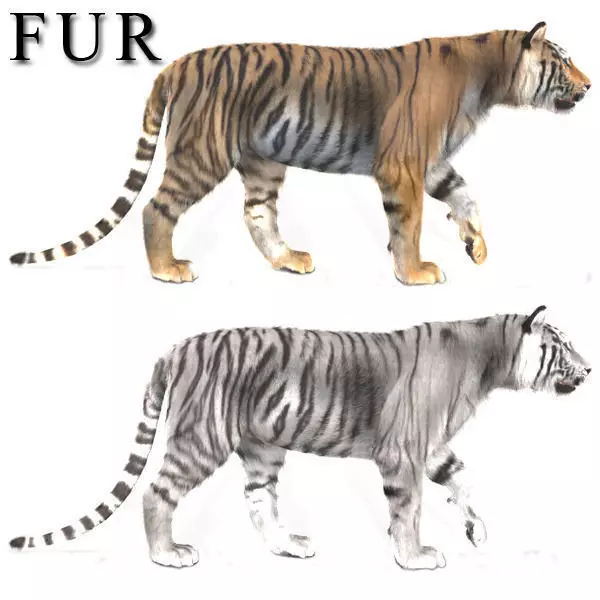 The Ultimate CGI Tiger - 3d model 3D model_0