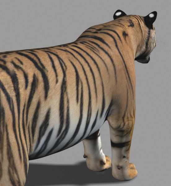 The Ultimate CGI Tiger - no fur 3d model 3D model_24