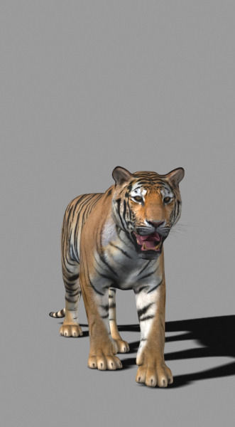 The Ultimate CGI Tiger - no fur 3d model 3D model_28