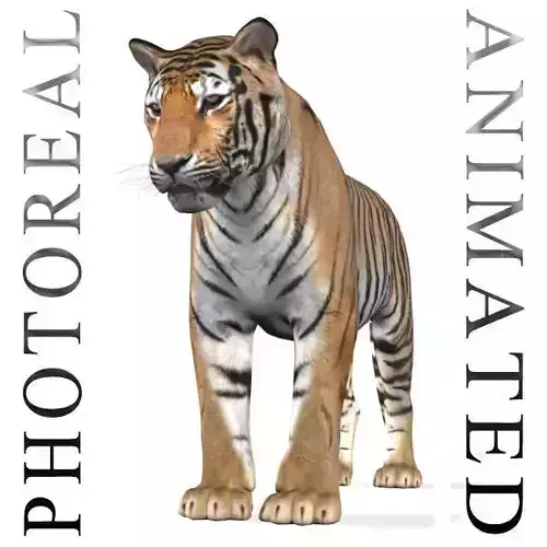 The Ultimate CGI Tiger - no fur 3d model 3D model