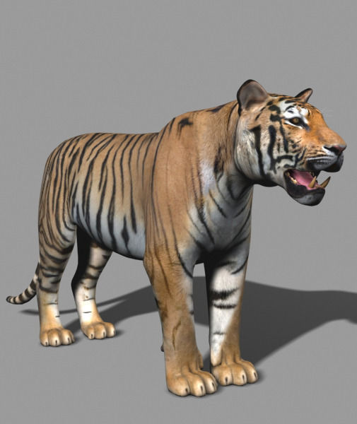 The Ultimate CGI Tiger - no fur 3d model 3D model_34
