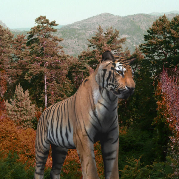 The Ultimate CGI Tiger - no fur 3d model 3D model_15