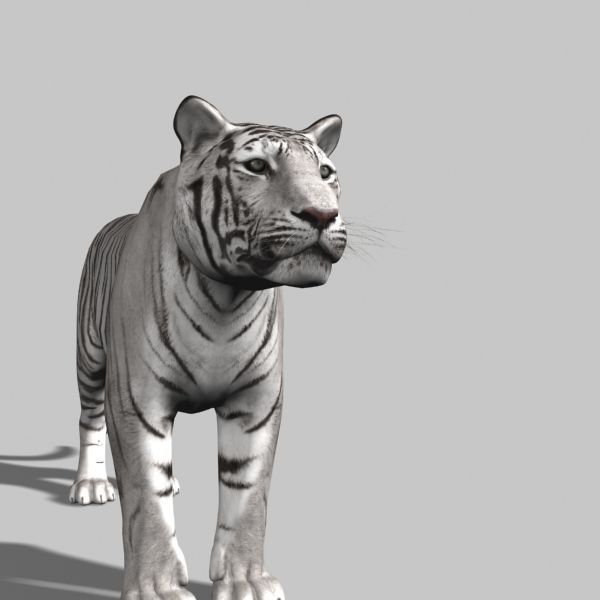 The Ultimate CGI Tiger - no fur 3d model 3D model_45