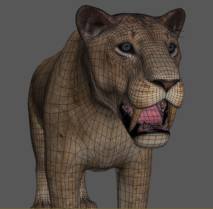 Sabretooth - 3d model lion 3D model_16