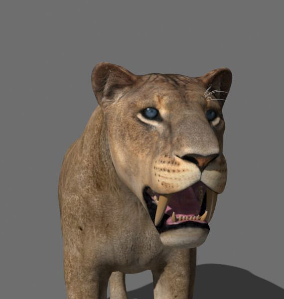 Sabretooth - 3d model lion 3D model_7