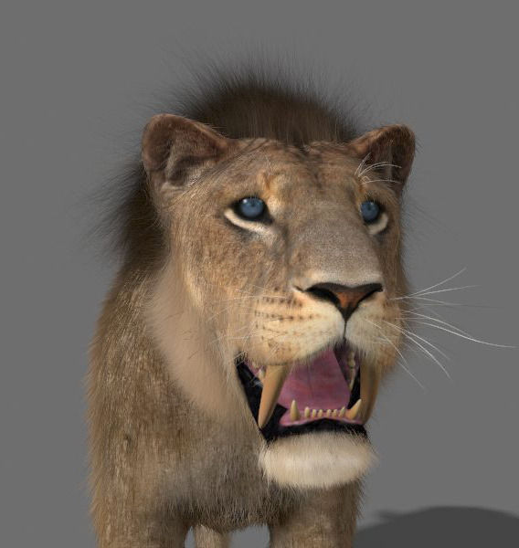 Sabretooth - 3d model lion 3D model_22
