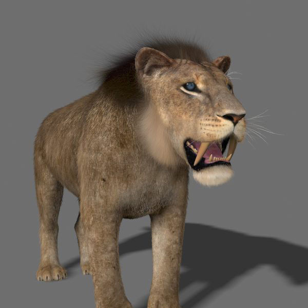 Sabretooth - 3d model lion 3D model_5