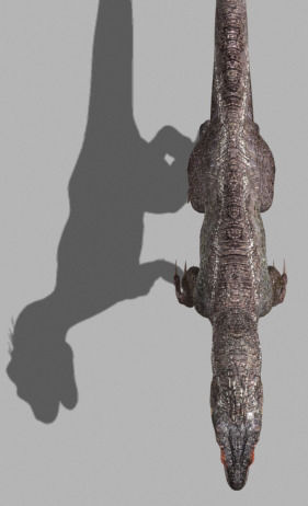 The Ultimate Raptor - 3d model 3D model_21