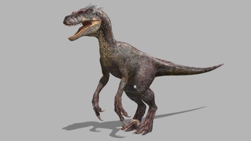 The Ultimate Raptor - 3d model 3D model_45