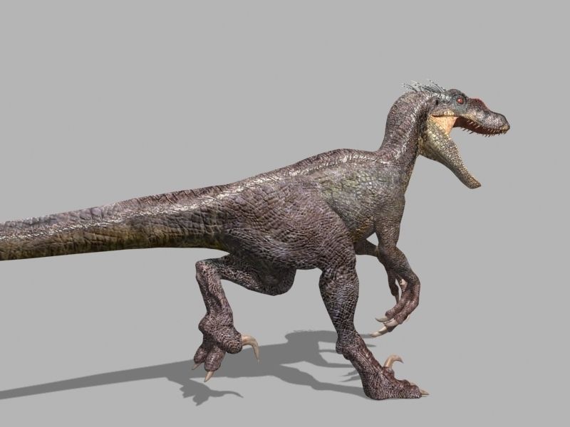 The Ultimate Raptor - 3d model 3D model_5