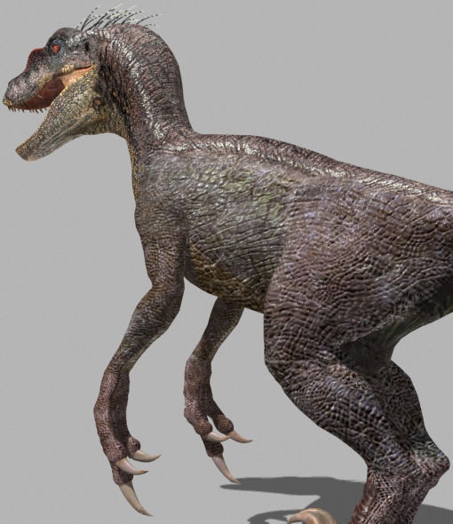 The Ultimate Raptor - 3d model 3D model_41