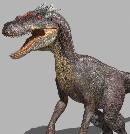 The Ultimate Raptor - 3d model 3D model_35