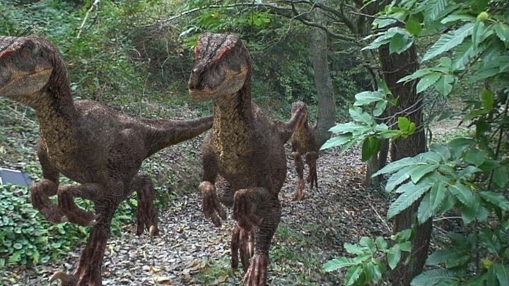 The Ultimate Raptor - 3d model 3D model_6