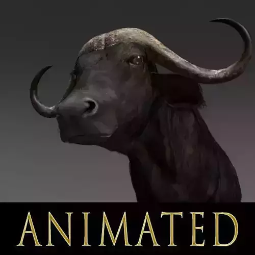 Animated Buffalo - 3d model 3D model
