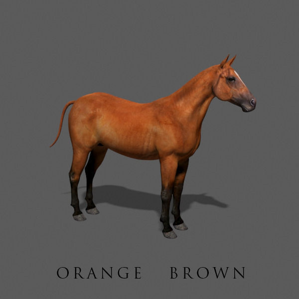 Ultimate Horse Collection - 3d model 3D model_15